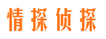 庆城市私家侦探